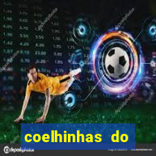 coelhinhas do brasil jp